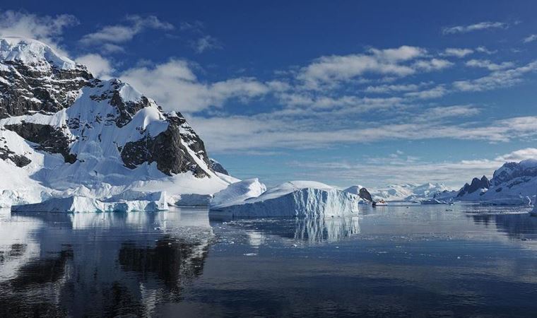 Bilim insanları ortaya çıkardı: Antarktika 75 milyon yıl önce orman yangınlarıyla kavrulmuş