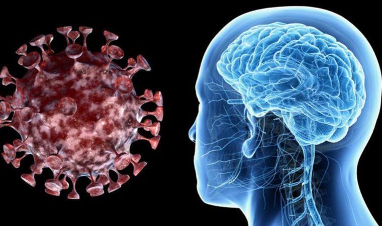 Koronavirüs geçirenler için korkutan araştırma: Beyni küçültüyor