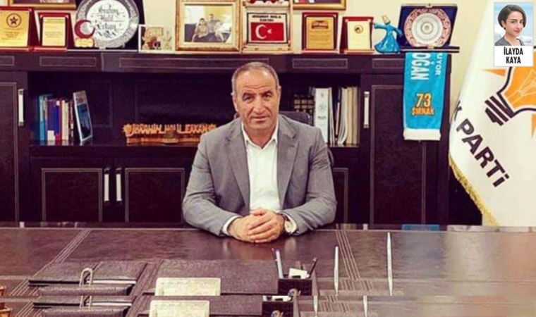 AKP’li vekil Rizgin Birlik, Şırnak'taki kamu kurumlarına 11 aile üyesini müdür yaptı
