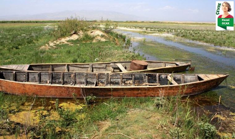 CHP, susuzluktan kavrulan Eber Gölü’ne ilişkin çarpıcı raporu hazırladı