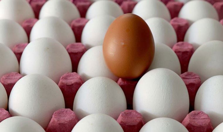 Yumurta üreticileri isyan bayrağını çekti: Batacağız