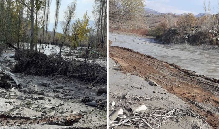 Giresun'un Şebinkarahisar ilçesinde çevre felaketi