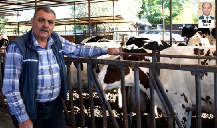 Süt üreticisi isyanda: 40 yıldır ilk kez bu tür kriz yaşanıyor