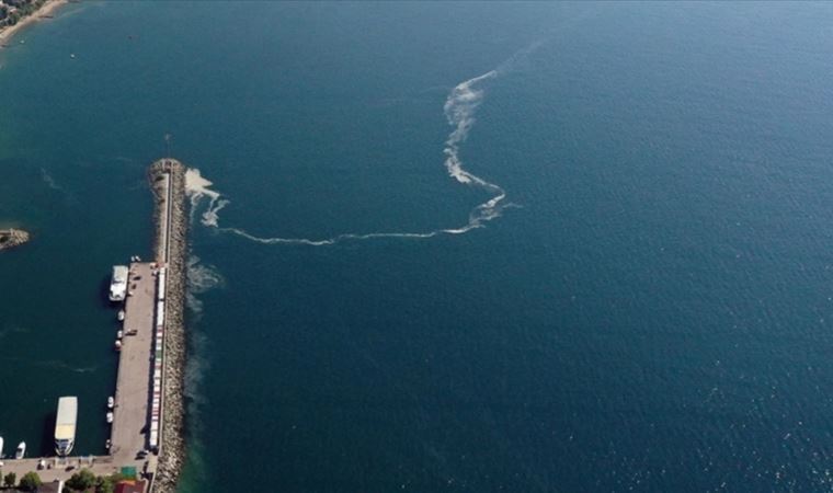 Son dakika... Marmara Denizi ve Adalar "Özel Çevre Koruma Bölgesi" ilan edildi