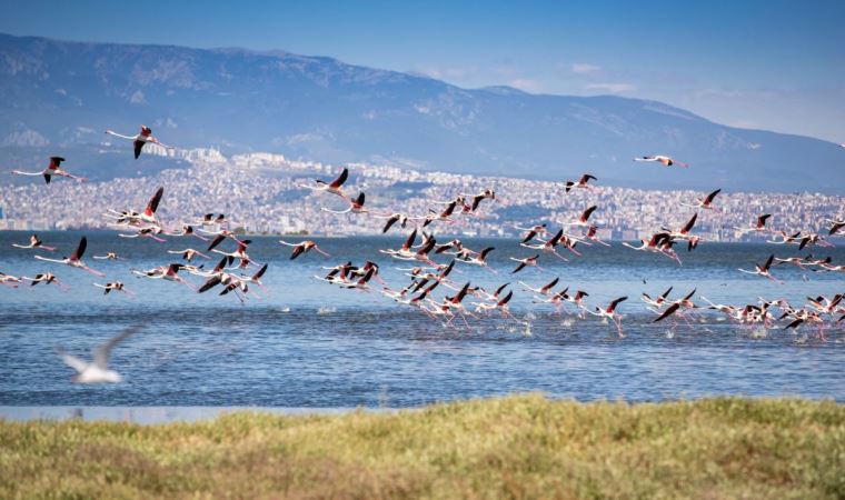 İzmirliler UNESCO adayı Gediz Deltası’nda buluşacak