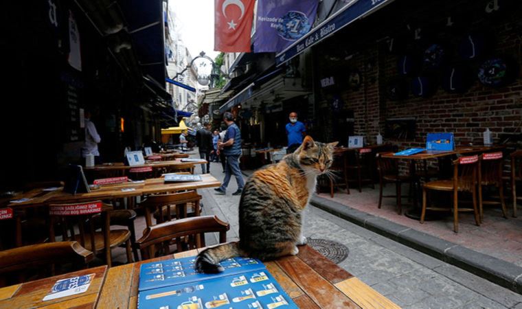 Feeding the fire? Turkish restaurants to raise prices to cover wage jump