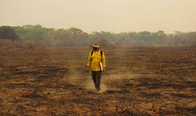 İklim değişikliği: Brezilya'daki 2020 yangınları 17 milyon hayvanın ölümüne yol açtı