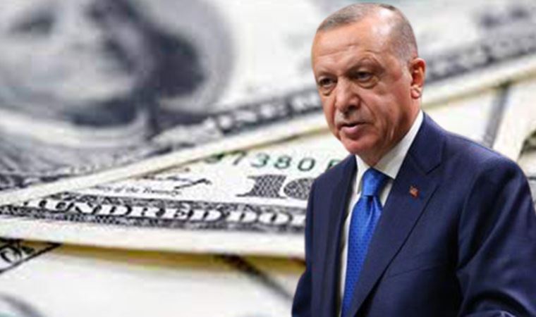Ekonomistlerden Erdoğan'ın yeni finansal alternatifine ilk yorum: Ülkenin kafasını gözünü yardılar