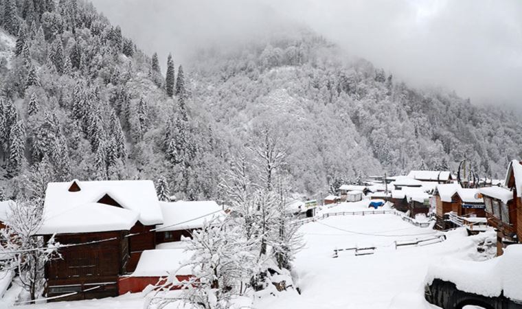 Artvin'de kar esareti: Onlarca yol ulaşıma kapandı