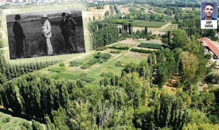 Sayıştay raporunda Atatürk Orman Çiftliği Müdürlüğü’ne yönelik ‘şeffaflık’ eleştirisi