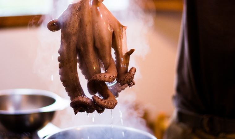 Hollanda yengeç, ahtapot ve ıstakozların canlı pişirilmesini yasaklamaya hazırlanıyor