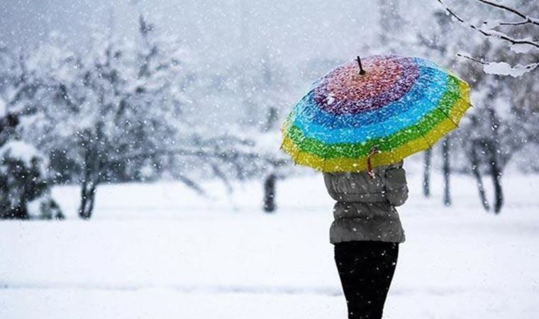 Fransa'da bir kasabanın belediye başkanı kar yağmasını 'yasakladı'