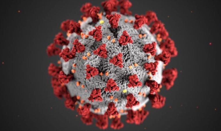 Tayland’da koronavirüse çok benzeyen yeni bir virüs keşfedildi: RacCS203
