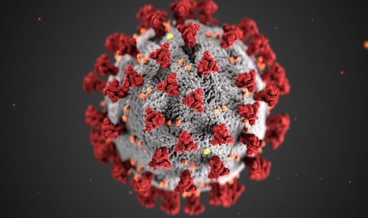 Koronavirüsün yeni belirtileri ortaya çıktı
