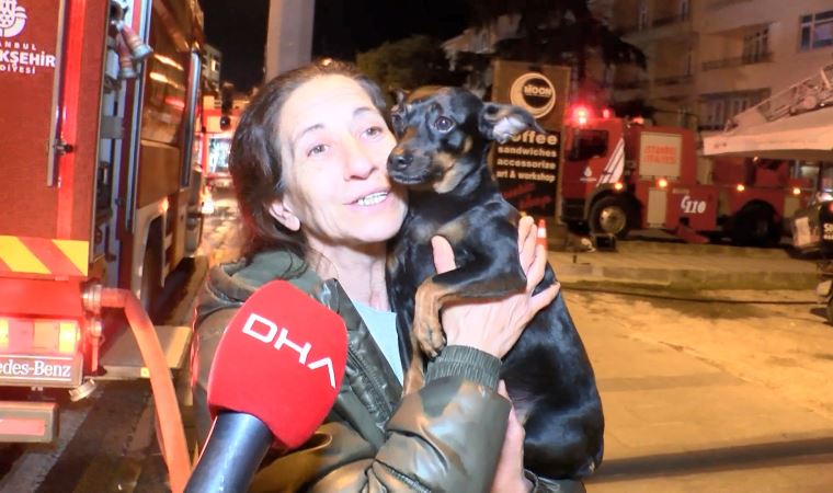 Eve duman dolduğunu gören kahraman köpek, sahibini ölümden kurtardı