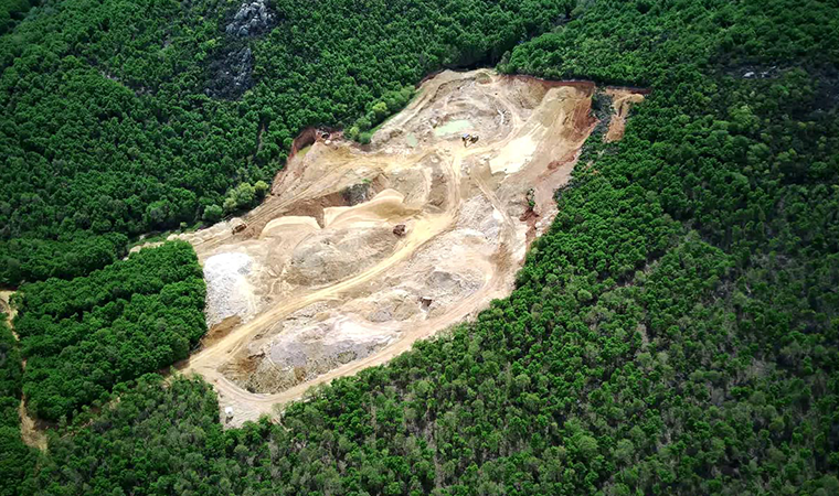 Kuzey Ormanları Savunması: Bu yıkımın durması için daha ne olması gerekiyor?