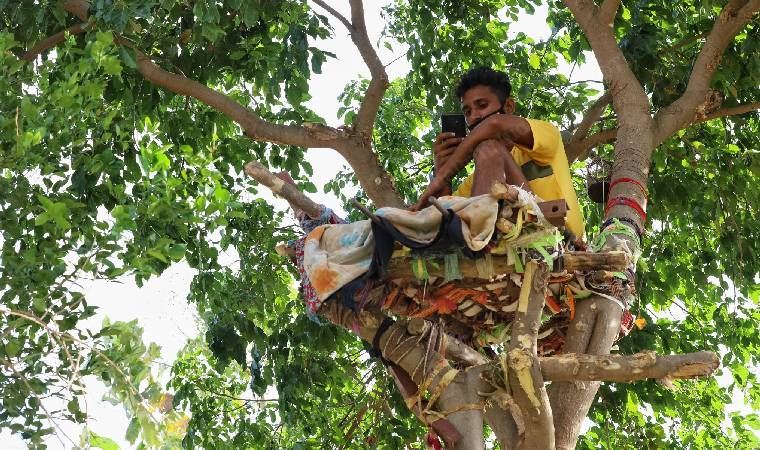 Hindistan'da koronavirüs testi pozitif çıkan genç, ağaç dalında kendine 'izolasyon yatağı' yaptı