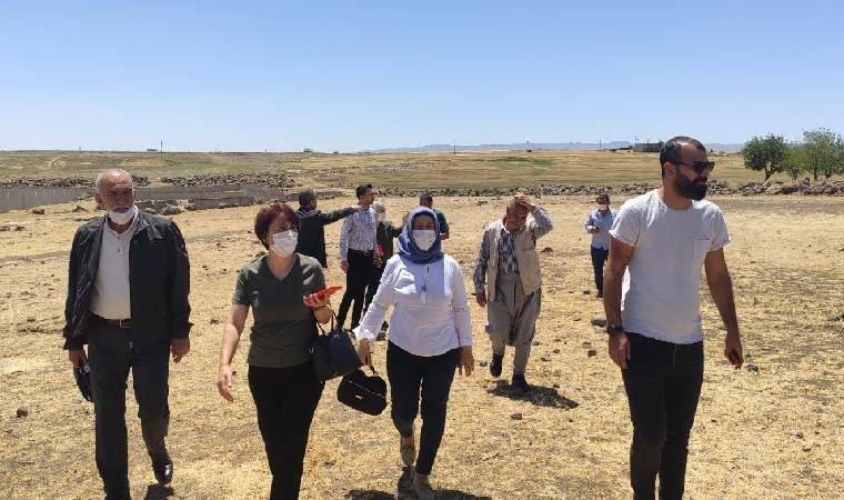 Diyarbakır CHP İl Başkanı Gönül Özel: Kuraklık domino etkisi yaratacak