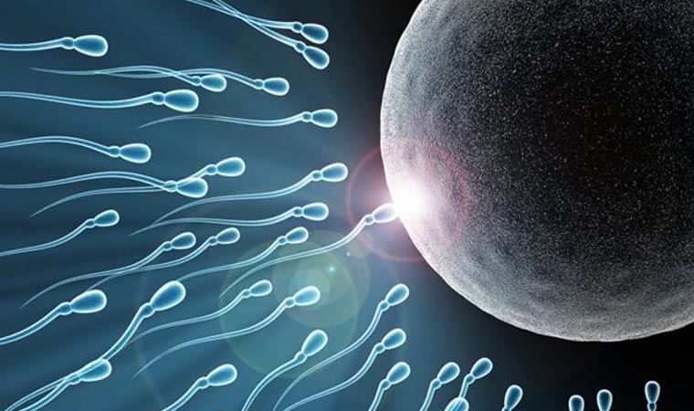 Araştırma ortaya koydu: Covid-19 aşısı sperm sayısını etkilemiyor