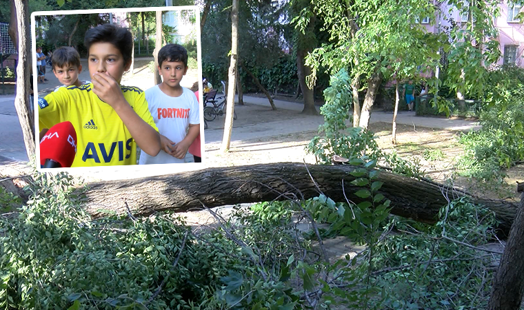 Bakırköy'de ağaç devrildi, çocuklar son anda kurtuldu
