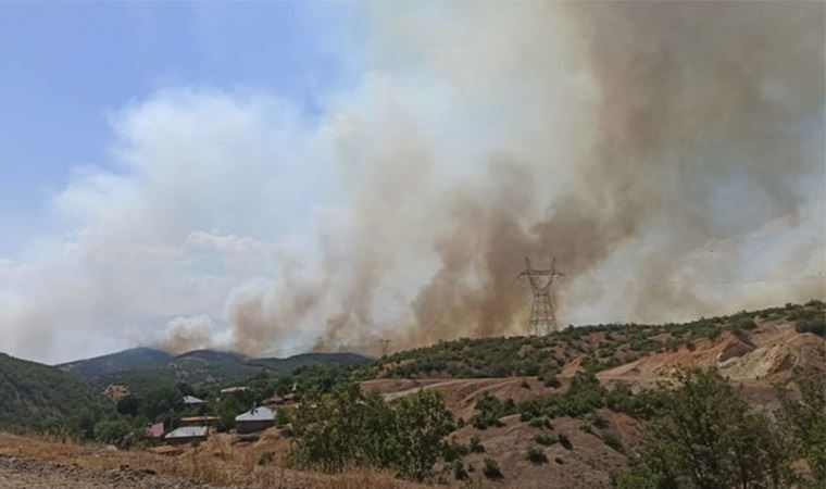 Bingöl'de orman yangını günlerdir devam ediyor: 1000 dönümlük alan zarar gördü