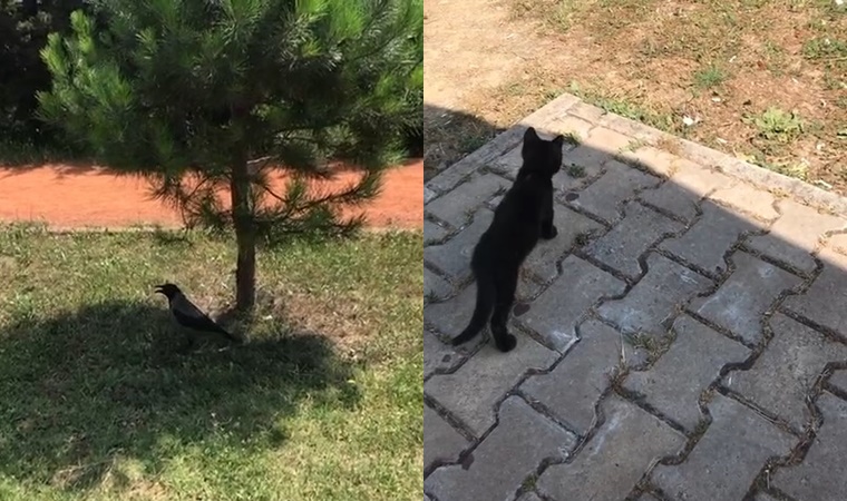 istanbul da hissedilen sicaklik 42 derece oldu