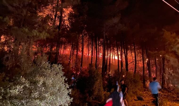 Muğla'nın Fethiye ilçesinde orman yangını başladı