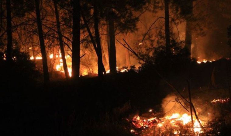 Orman yangınlarında son durum: Muğla'da 5 yangın sürüyor