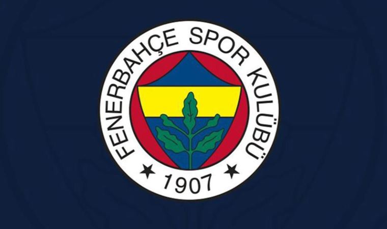 Fenerbahçe'de Serdar Dursun, takımla çalışmalara başladı