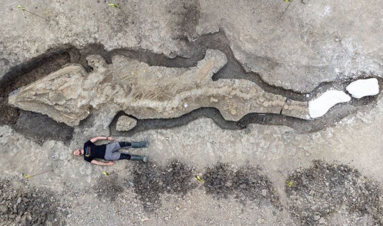 İngiltere'de dev 'deniz ejderhası' fosili bulundu
