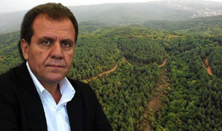 Mersin’de Cumhurbaşkanı kararıyla orman sınırları değiştirildi