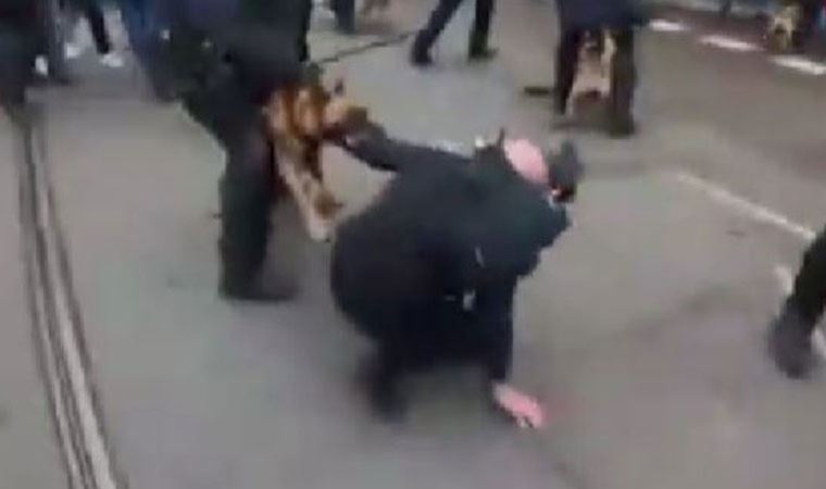 Hollanda polisi protestocuların üzerine köpek saldı