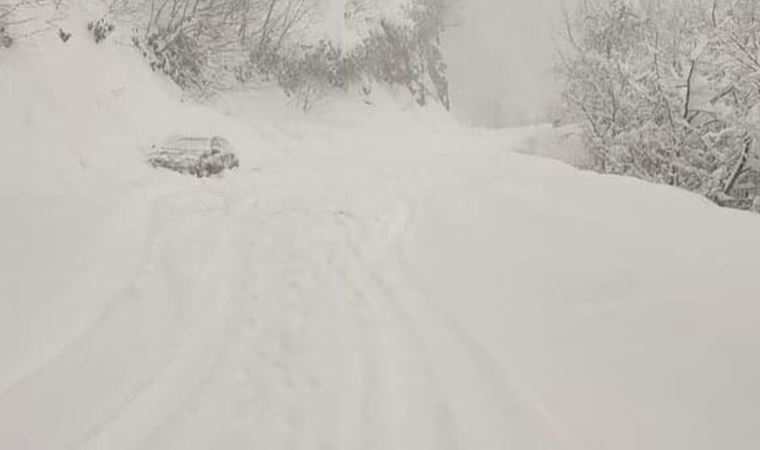 Kar yağışı sonrası çığ düştü, yol ulaşıma kapandı