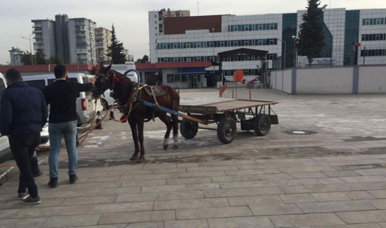 Adana'nın Seyhan ilçesinde bir baba-oğul, at arabasıyla uyuşturucu satışına çıktılar