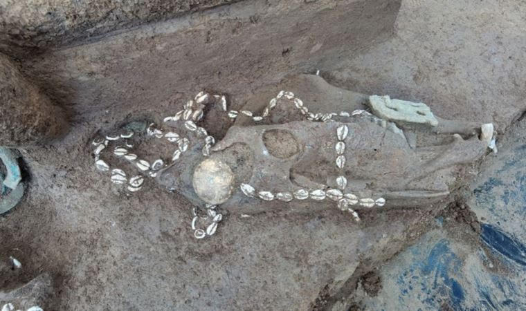 Çin'de 3 bin yıllık klan mezarlığı ortaya çıkarıldı