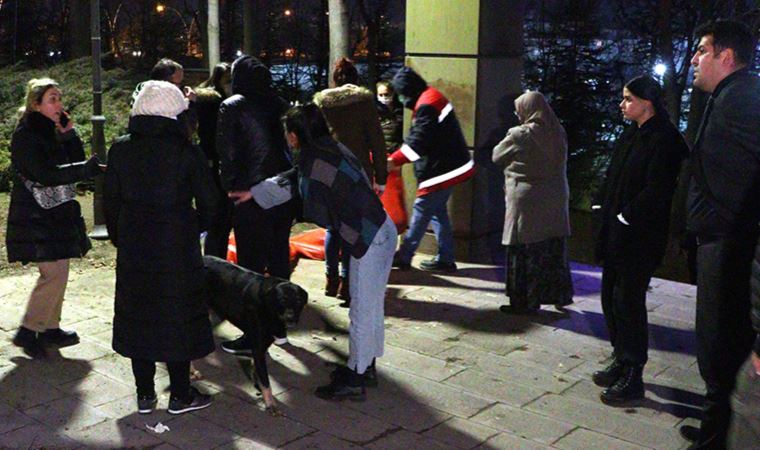 Ankara'da ölü bulunan 8 köpekte zehirlenme şüphesi
