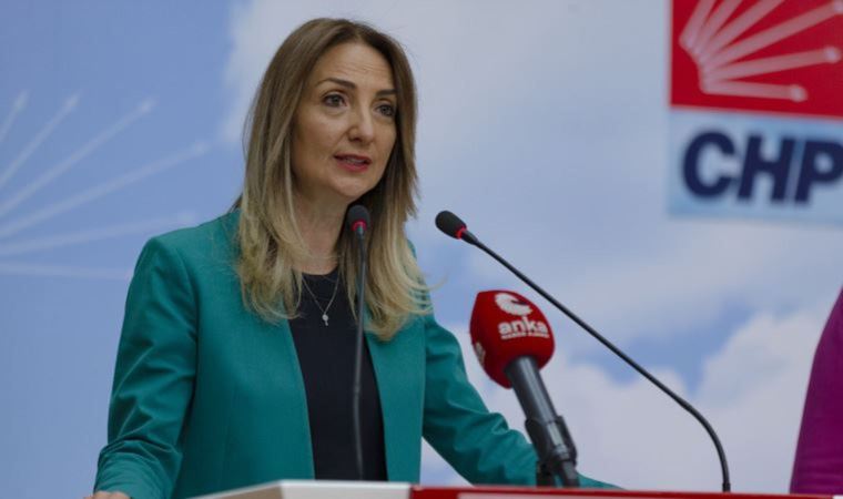 CHP Kadın Kolları Genel Başkanı Aylin Nazlıaka, Covid-19'a yakalandı