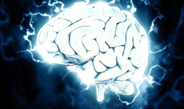 Bilim insanları, ölen bir insanın beyin aktivitelerini ilk kez görüntüledi