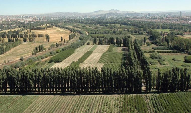 Bakanlığın ranta açtığı ortaya çıktı: Atatürk Orman Çiftliği'nin arazisi talana açıldı