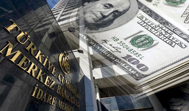Merkez Bankası'ndan KİT'lere döviz satışında rekor