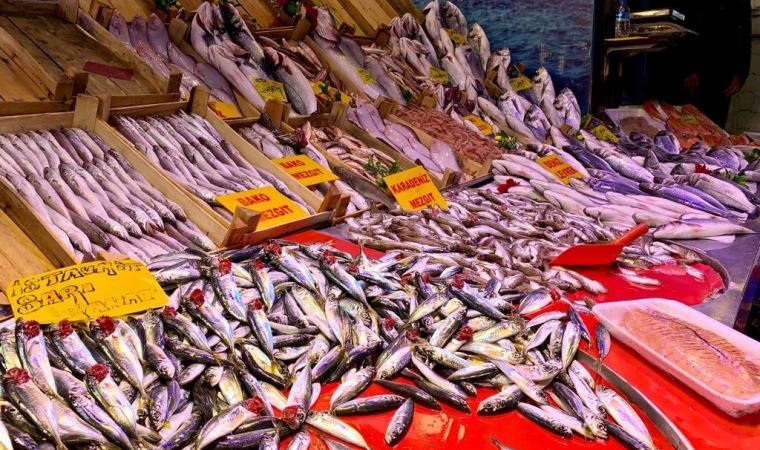 Rusya Ukrayna krizi balık fiyatlarını da vurdu