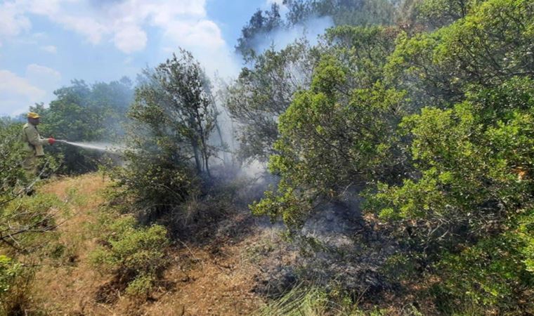 Manisa'da çıkan orman yangınında 1 hektar alan zarar gördü