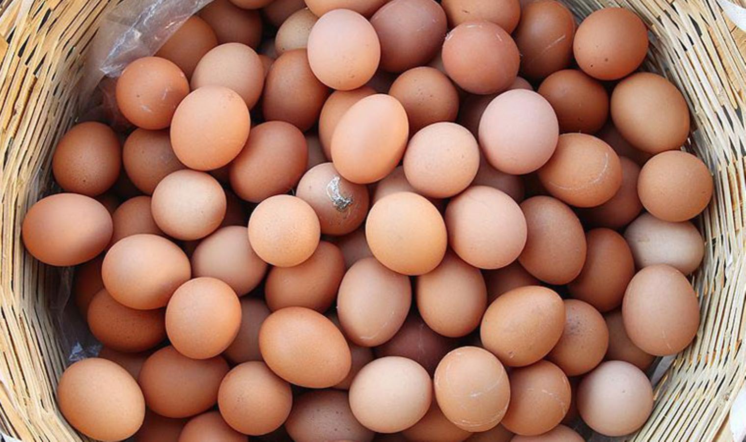 <p><strong>BİR YILDA FİYATI İKİYE KATLANDI</strong></p>
<p>Yumurta Üreticileri Merkez Birliği’nin (Yum-Bir) bugün yayımladığı fiyat listesine göre Katma Değer Vergisi (KDV) hariç büyük boy yumurtanın fiyatı 1 liradan 1 lira 10 kuruşa, 90 kuruş olan orta boy yumurtanın fiyatı ise 1 liraya çıktı. Büyük boy yumurtada artış yüzde 10 olurken orta boyda fiyat artışı yüzde 12,5 olarak gerçekleşti. Yum-Bir’in 16 Mayıs tarihli fiyat bülteninde KDV’siz fiyatlar yer alıyor. Marketlerde ise bugün büyük boy yumurtanın adet fiyatı 1,5 lirayı geçti.</p>
<p>Açıklanan toptan fiyatlar market ve bölgelere göre değişim gösteriyor.</p>