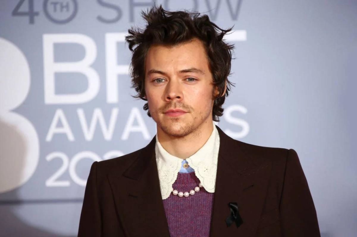 <p><strong>19. HARRY STYLES</strong></p> 