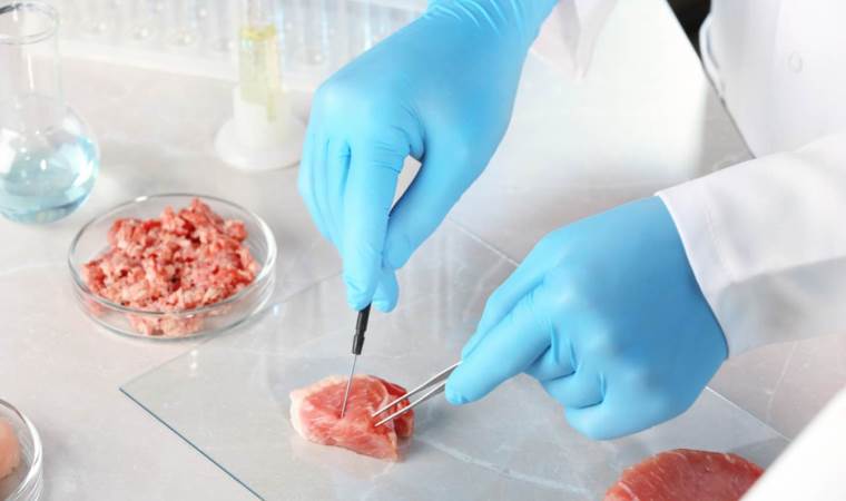 İtalya'da sentetik et üretilmesi yasaklandı