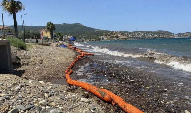 Foça’da gemiden bırakılan atıklar sahile vurdu!