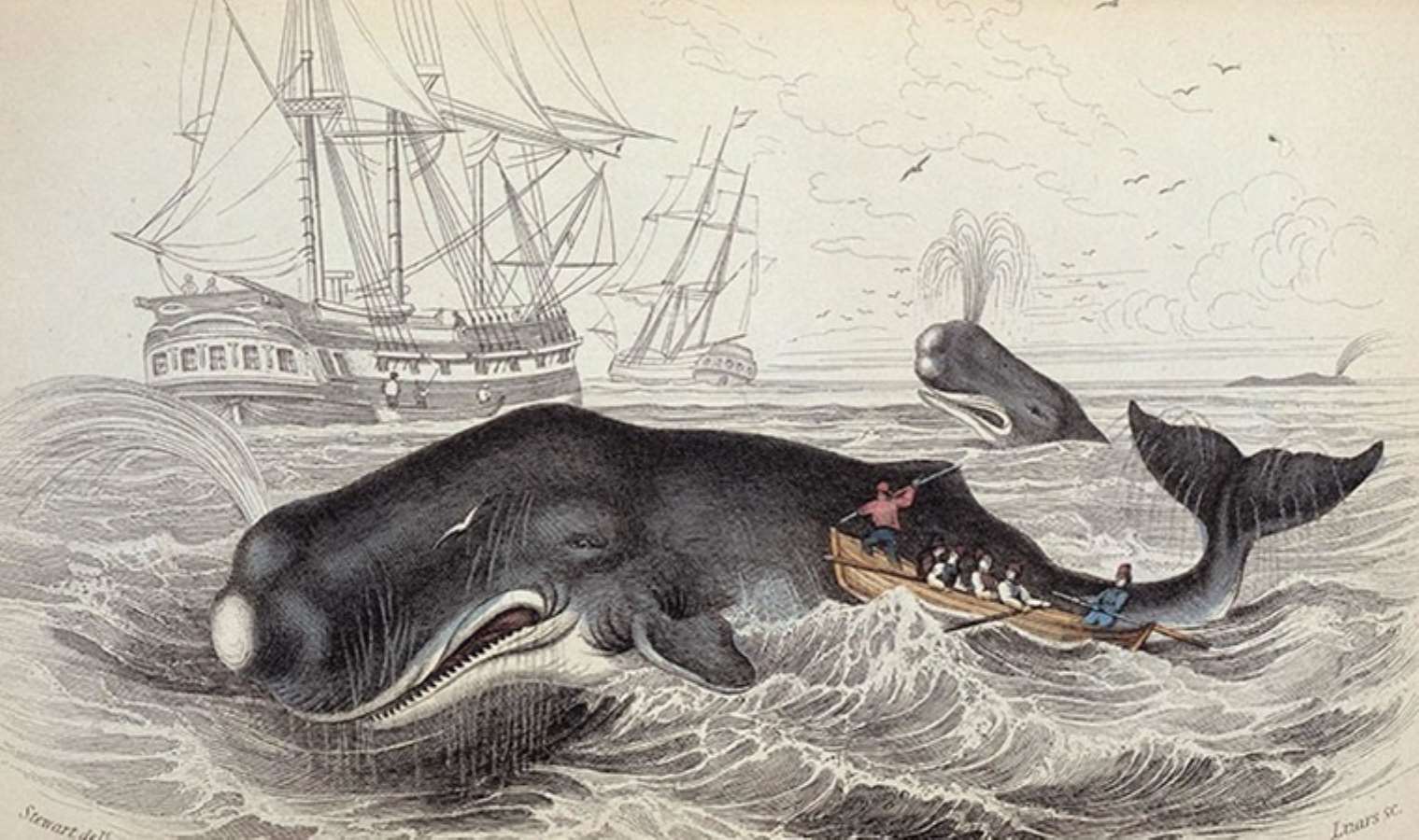 <p>Romancı <strong>Herman Melville</strong>, <strong>Moby-Dick</strong> adlı eserinde, amberden şöyle söz eder...</p>