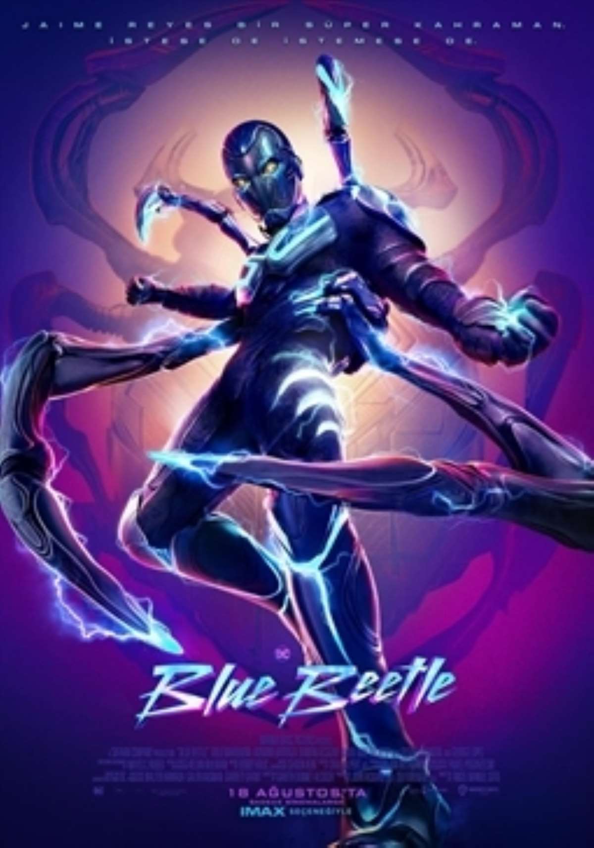 142059091 blue beetle