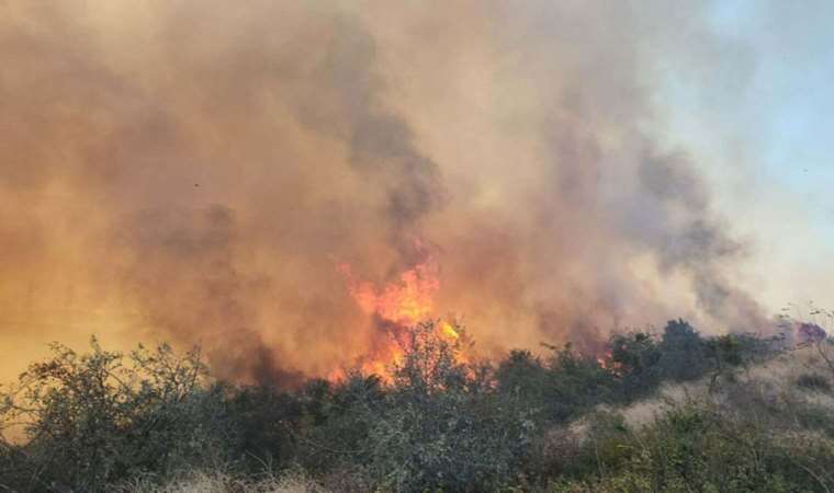Çanakkale'de yangın: 16 saatte kontrol altına alındı