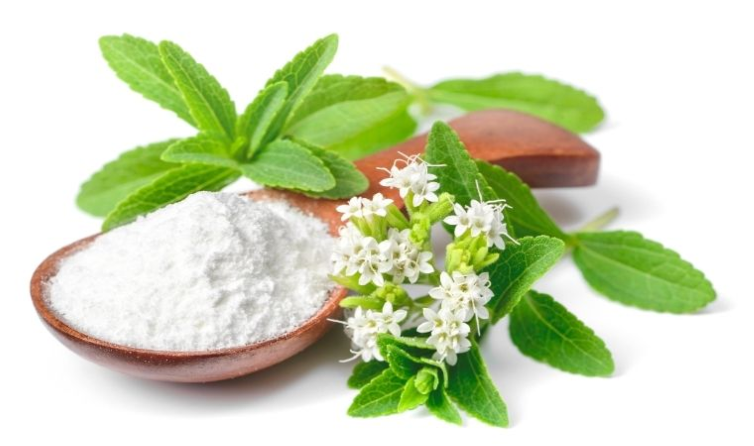Можно при сахарном диабете стевию. Stevia Sugar. Стевия усимлиги. Фито сахар стевиа. Стевия на белом фоне.